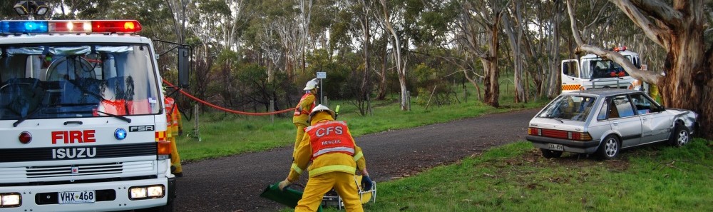 Sturt CFS Group
